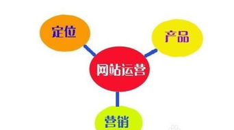 從策劃到技術(shù) 網(wǎng)站運(yùn)營與SEO實(shí)戰(zhàn)經(jīng)驗(yàn)及方案構(gòu)建思路分享